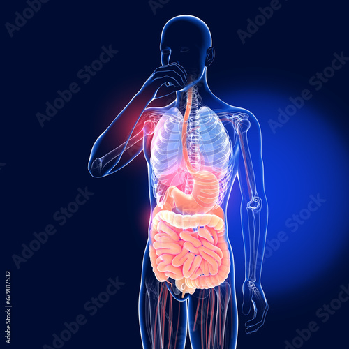 Transparent 3D illustration of the digestive system of a man eating. Crystal anatomy from the esophagus and stomach to the intestine.