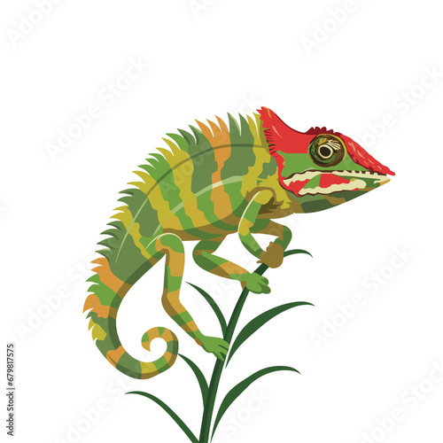 Cute Chameleon vector illustration