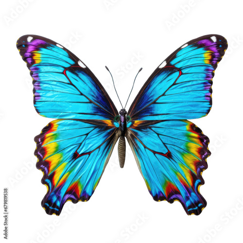 Bright butterfly isolated on transparent and white background. PNG transparent © Stitch
