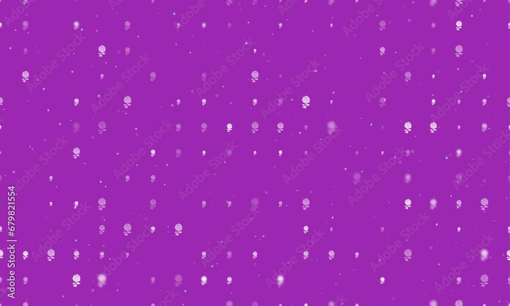 Seamless background pattern of evenly spaced white rose flowers of different sizes and opacity. Vector illustration on purple background with stars