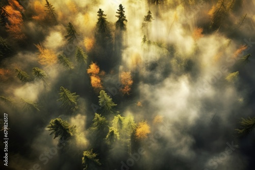 From Above: Captivating Aerial View of an Autumn Forest with Trees, Fog and Sky in Nature's Landscape