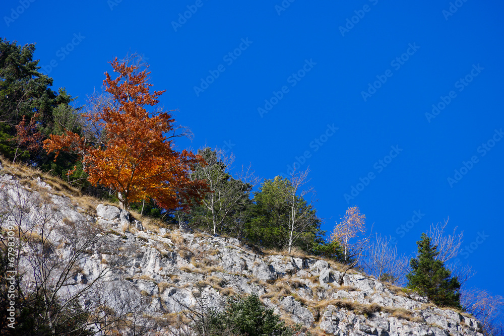  landscape in Zarnesti Gorges, Piatra Craiului Mountains, Romania, Europe
