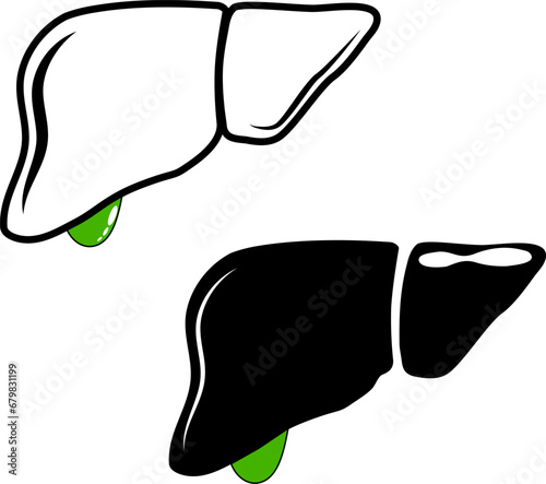 Liver black line icon.