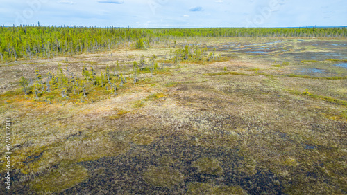 Typical landscape from Lapland with swamps and trees