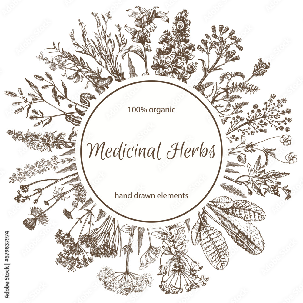 Fotografia Retro background with medicinal herbs