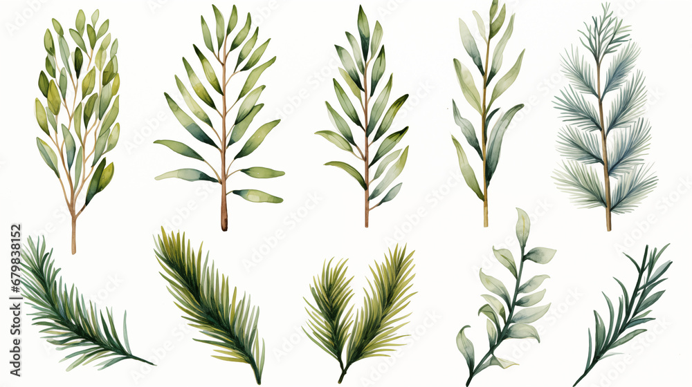 christmas tree branches in watercolor style christmas tree branches in watercolor style
