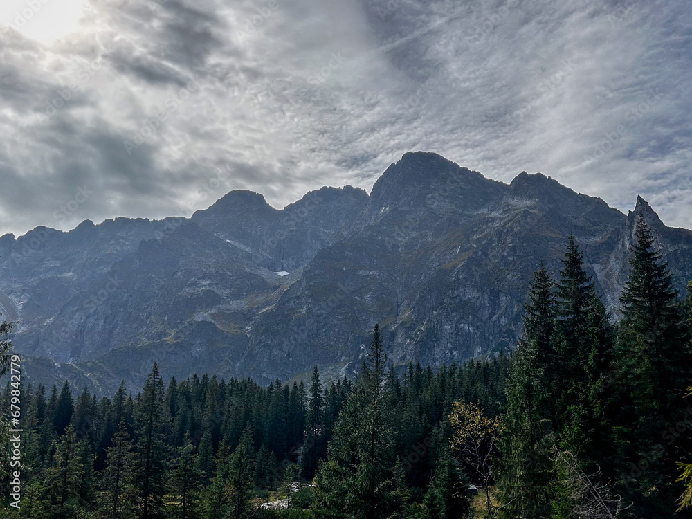 A majestic fir forest stands in quiet reverence in the foreground, while towering mountains take center stage in the middle ground, all beneath a canvas of white clouds.