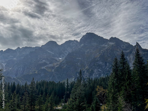A majestic fir forest stands in quiet reverence in the foreground  while towering mountains take center stage in the middle ground  all beneath a canvas of white clouds.
