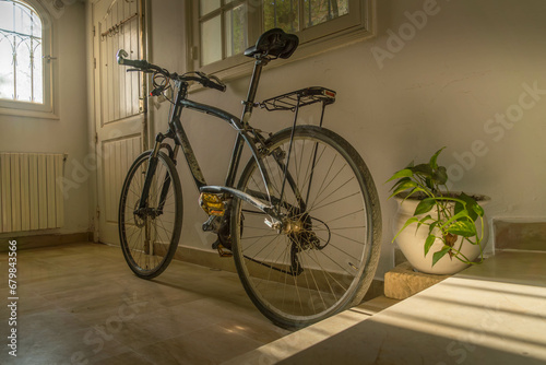 The old used bicycle standing at the wall of the building at sunlight next to the house plant.
