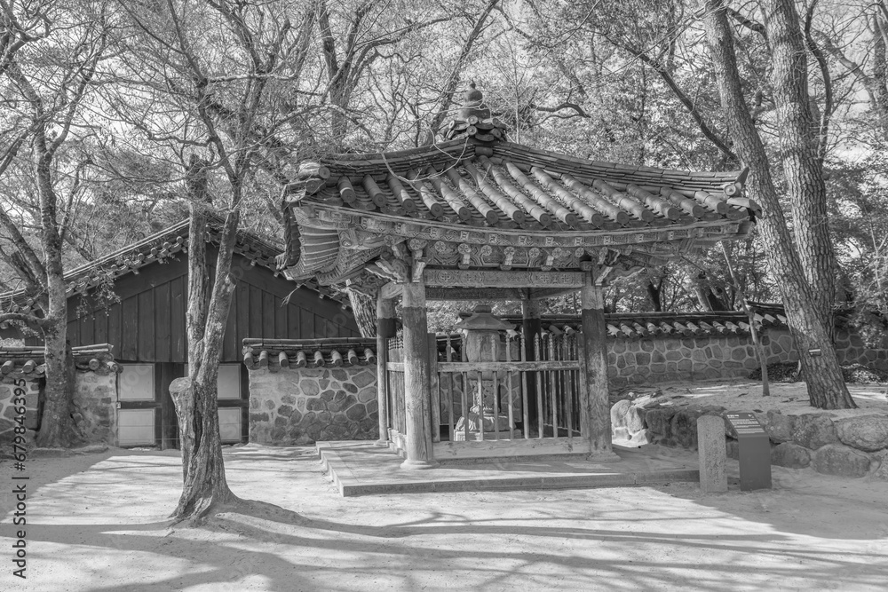 Fototapeta premium Gyeongju, South Korea - November 20 2023 