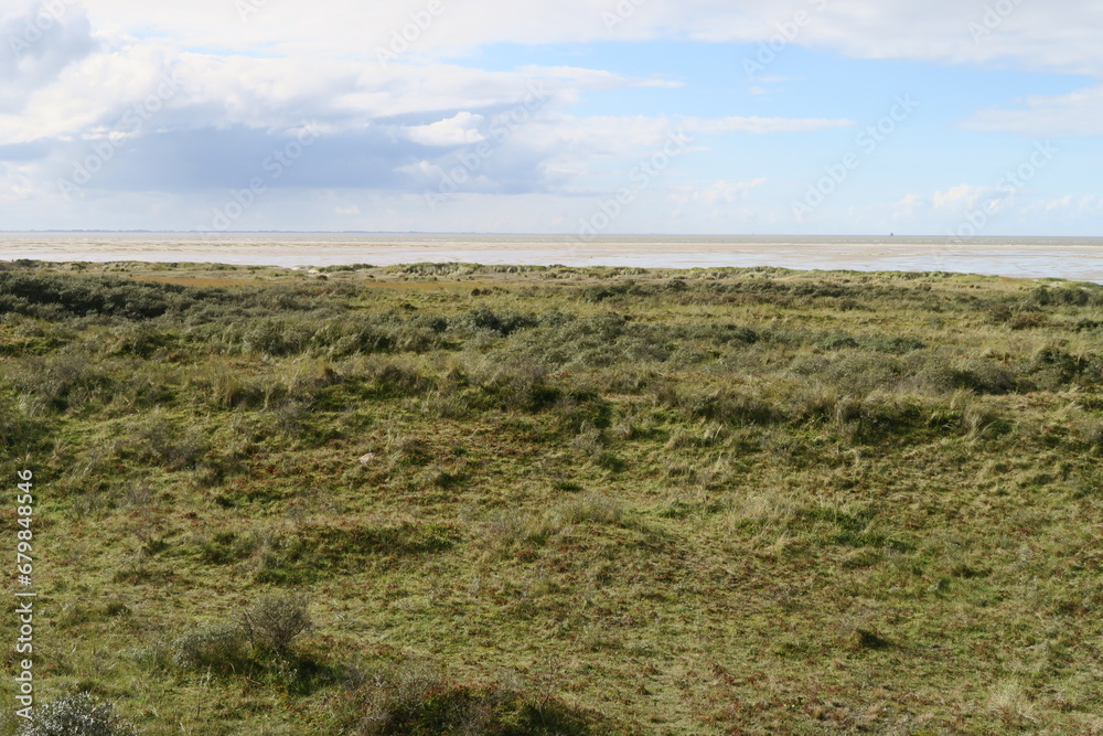 Im Westen der holländischen Nordseeinsel Schiermonnikoog gibt es bewachsene Dünen.