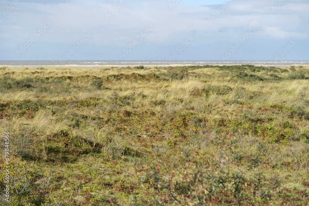 Im Westen der holländischen Nordseeinsel Schiermonnikoog gibt es eine mit Strandgras bewachsene Dünenlandschaft.