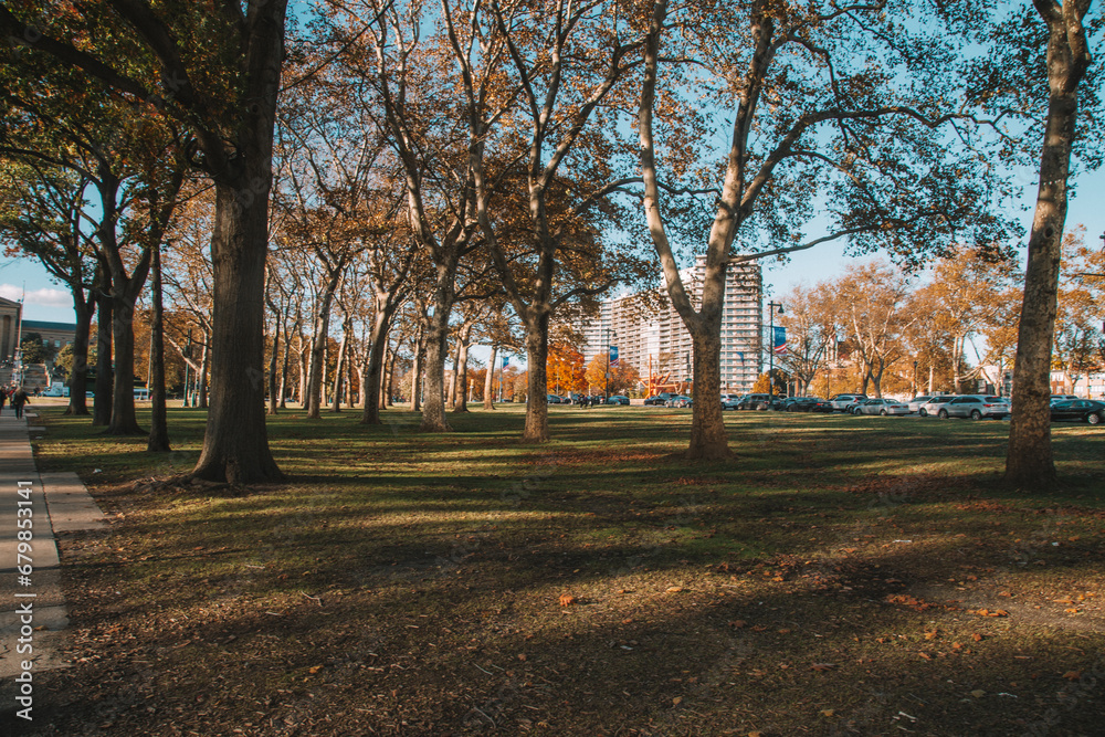 Autumn in the park