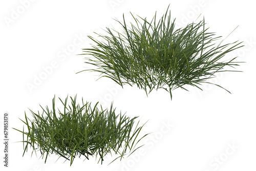 Obraz na plátně Bunches of grass on a transparent background. 3D rendering.