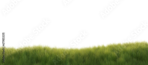 Freshly grown green grass on a picturesque hill. 3D rendering. photo
