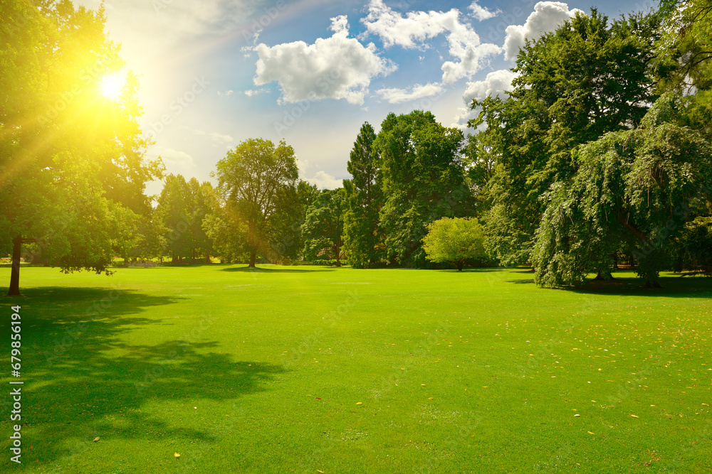 Fototapeta premium Sunrise beam in beautiful park