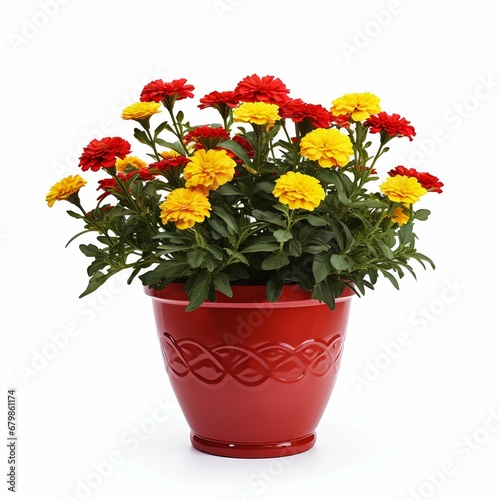 Vibrant Serenity  Marigolds in a Modern Ceramic Pot Isolated on White Background. Generative ai