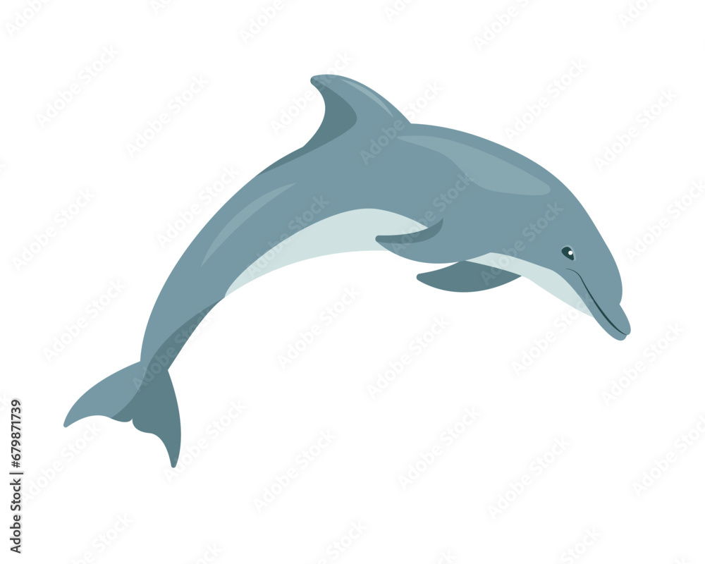 Fototapeta premium Dolphin animal icon. Cute dolphin jumping on Dolphins show. Ocean aquatic animal dolphin. Vector flat or cartoon illustration isolated on white background.