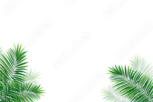 Green amazon border frame with exotic jungle plants, palm leaves and place for text. Summer foliage vector background. Simple tropic design for travel, vacations card and banners