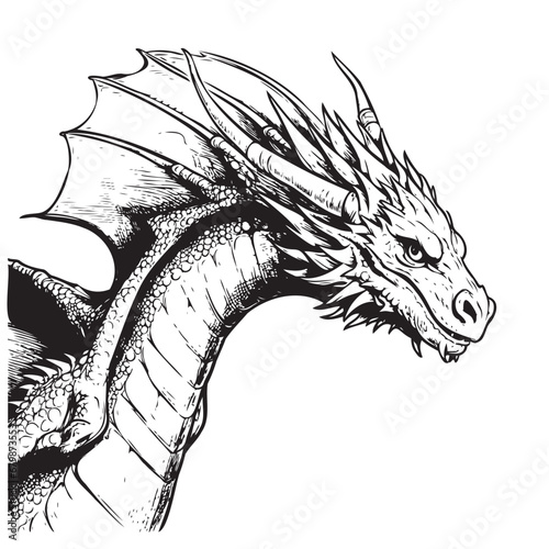 Hand drawn chineese dragon head isolated on white background. Vector illustration