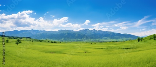 Panoramic view of green meadow and mountains under blue sky. High quality photo