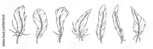 Set of line sketches of bird feathers. Vector graphics.