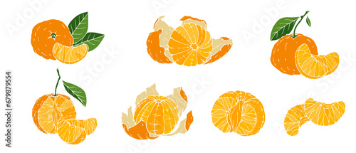 Set of ripe tangerines and citrus fruit slices. Vector graphics.