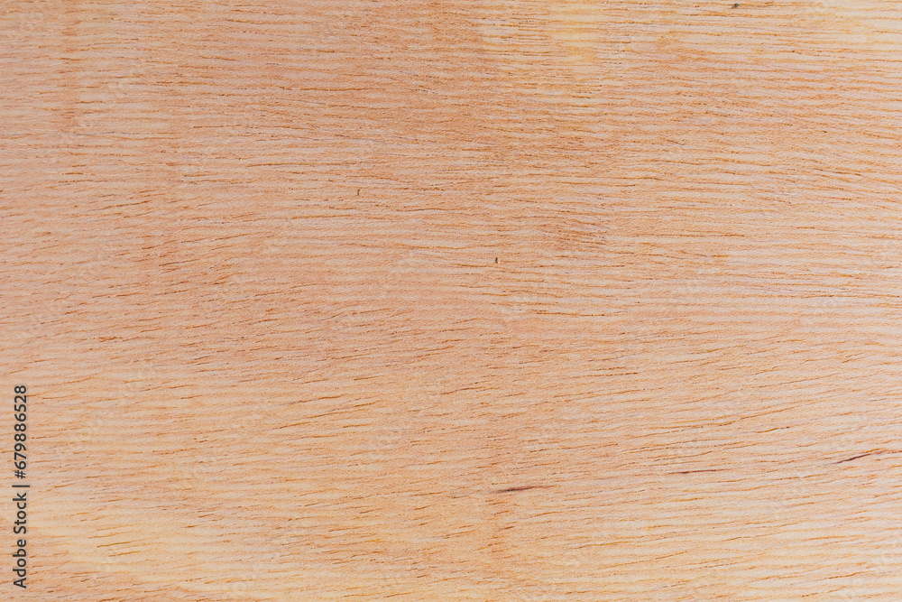Light rough textured cut surface of an African tree. Wood background or blank for design Light rough textured cut surface of an African tree. Wood background or blank for design