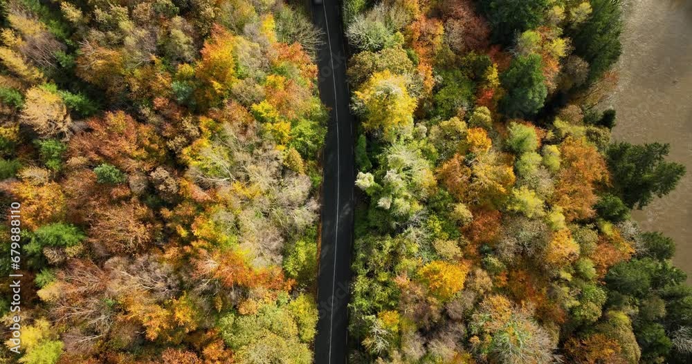 Overhead aerial view of white car on country road in sunny autumn forest Overhead aerial view of white car on country road in sunny autumn forest