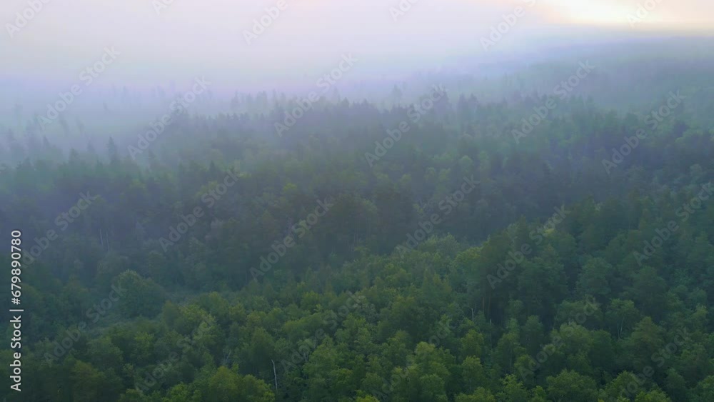 fog in the mountains fog in the mountains