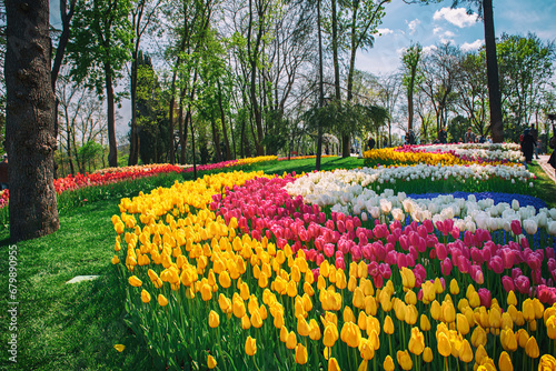 Canvas Print Emirgan Park, Istanbul