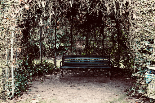 Schöne Sitzbank in einem Park photo
