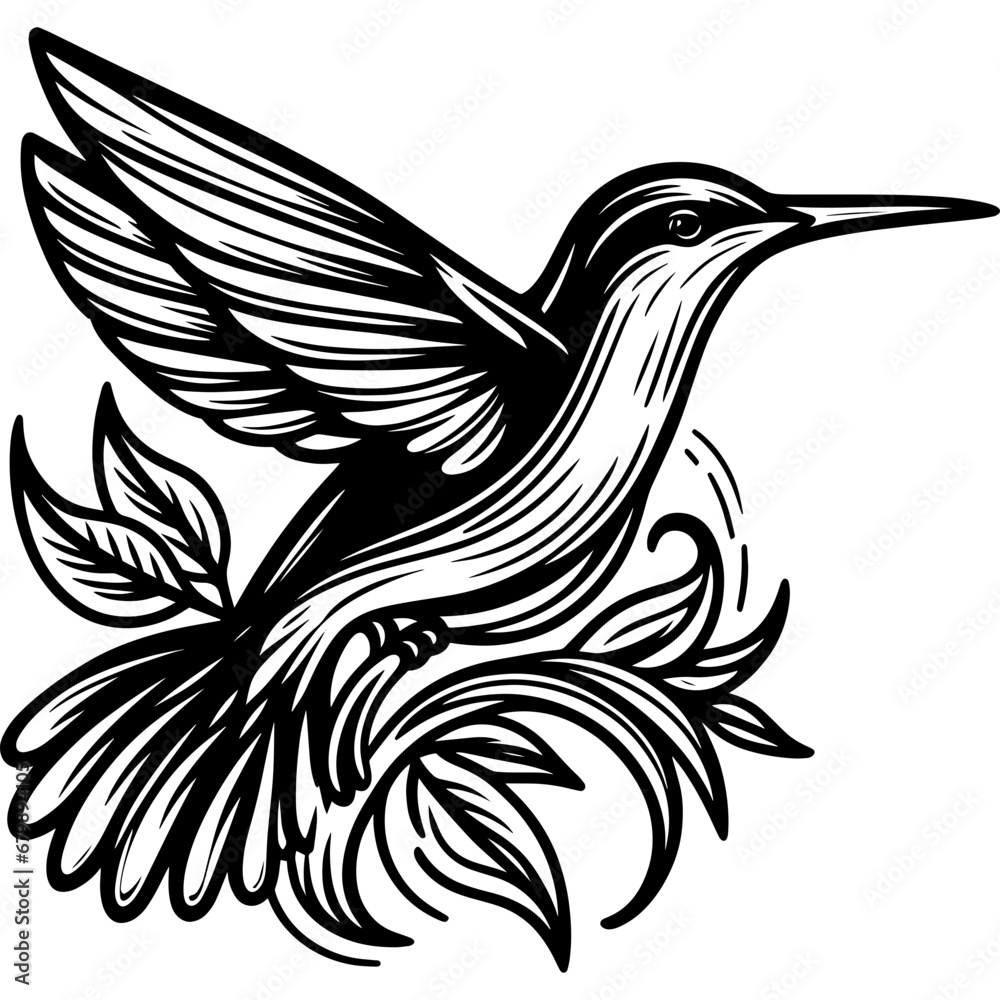Bird colibri icon hand drawn vector design illustration Bird colibri icon hand drawn vector design illustration