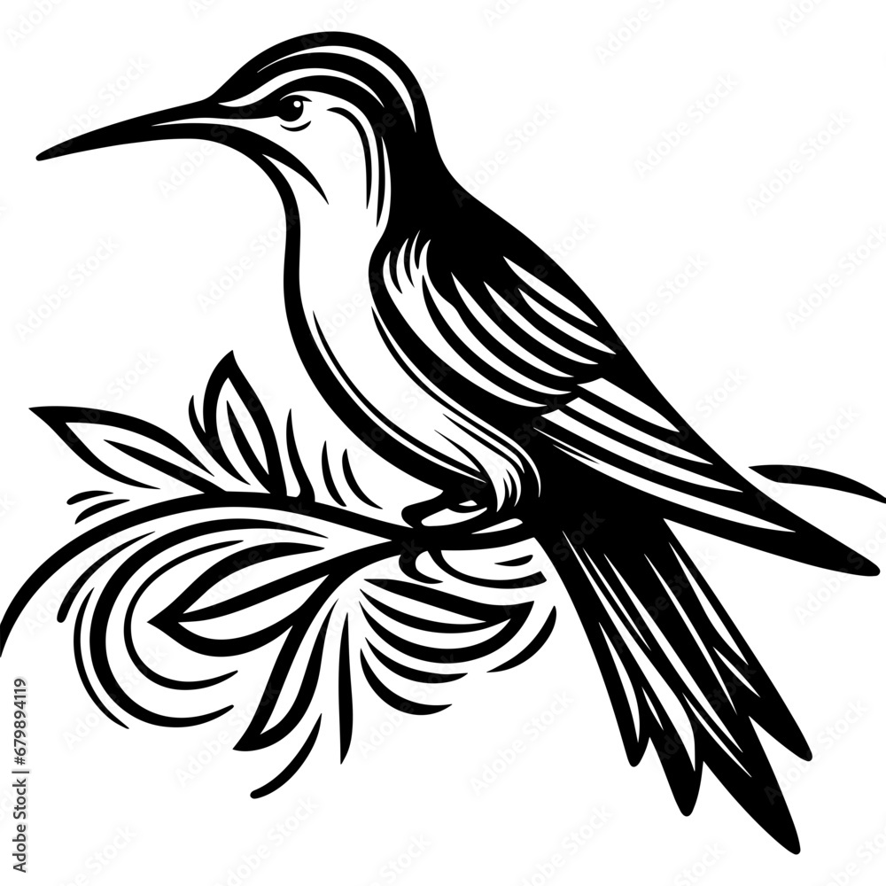 Naklejka premium Bird colibri icon hand drawn vector design illustration