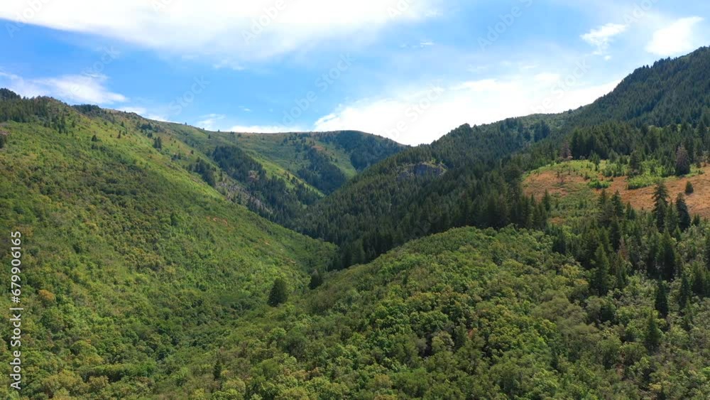 Flying over the mountains covered with beautiful green pine forests.FPV drone shot. Green pine tree forest on mountain range. Flying over the mountains covered with beautiful green pine forests.FPV drone shot. Green pine tree forest on mountain range.