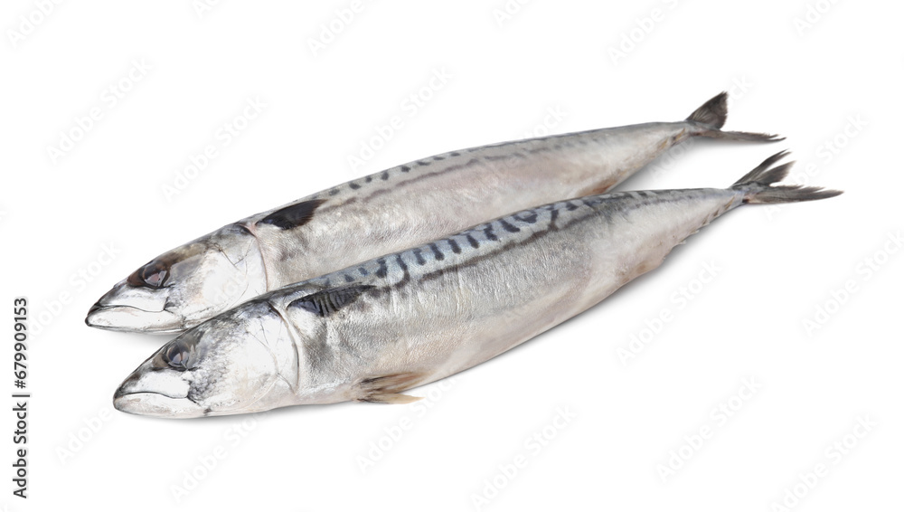 Two tasty salted mackerels on white background Two tasty salted mackerels on white background