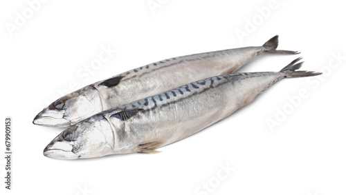 Two tasty salted mackerels on white background