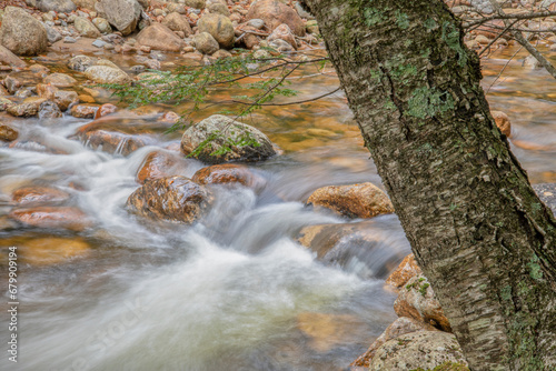 Saco River and Maggie's Run Trail, Crawford Notch, New Hampshire photo