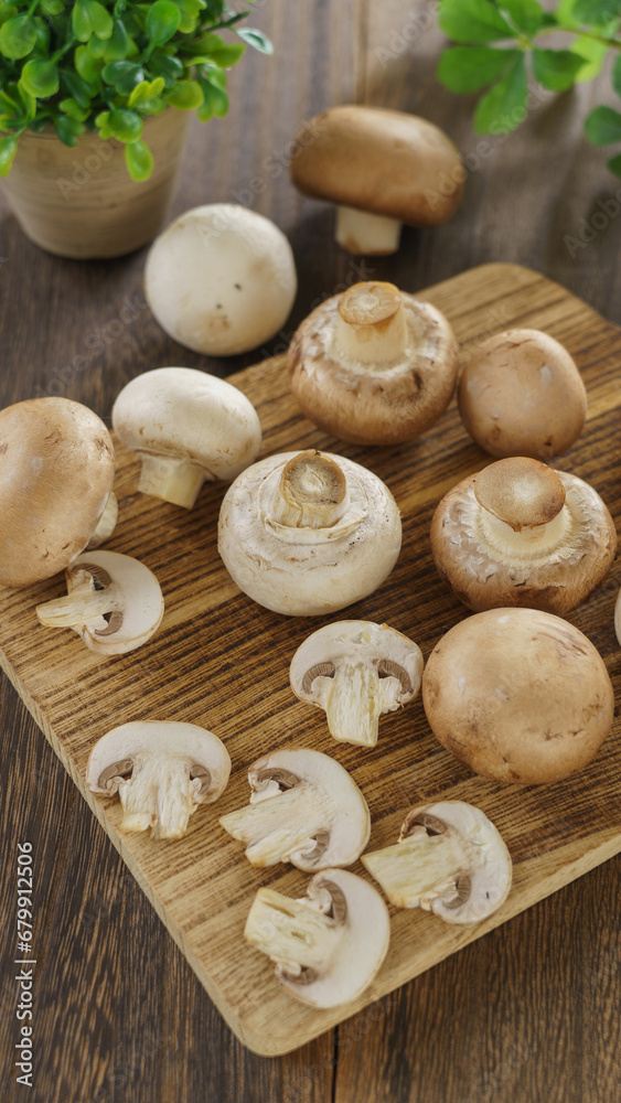 2種類のマッシュルーム(ホワイトとブラウン)