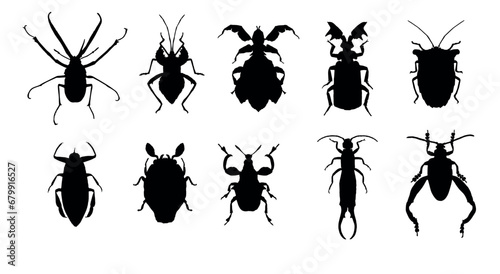 set of silhouettes of insects vector eps 10 © Muginandaru