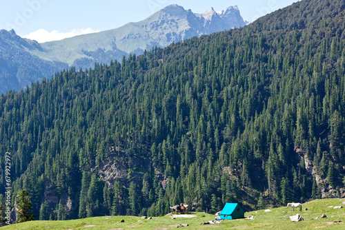 Camp in Himalayas mountains. Kullu Valley, Himachal Pradesh, India