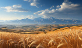 wheat field in the mountains