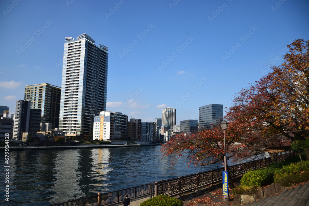 Obraz premium 東京都心の隅田川