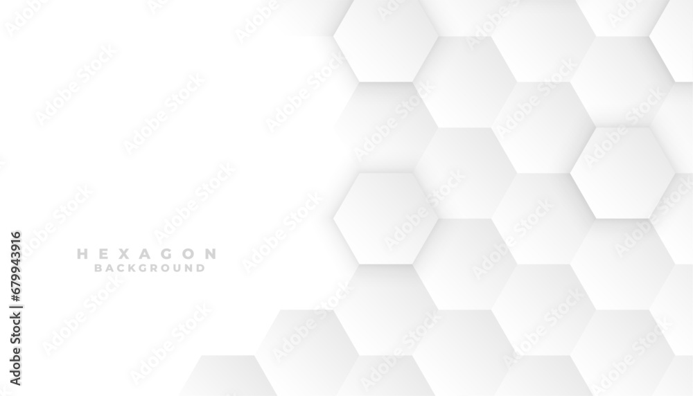 3d style modern hexagonal pattern white background for business backdrop