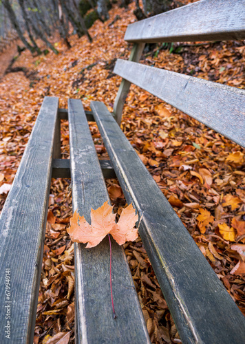 Fototapeta Naklejka Na Ścianę i Meble -  An autumn leaf on the wooden bench in the park