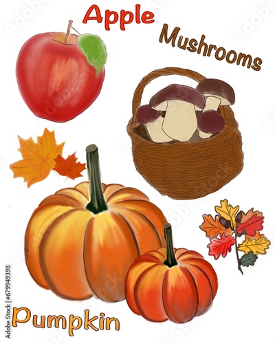 Illustration of autumnal harvest. An apple, a pumpkin, and a basket of mushrooms 
