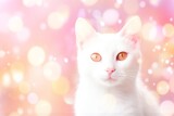 Close-up of cute cat gazing at something with beautiful bokeh background