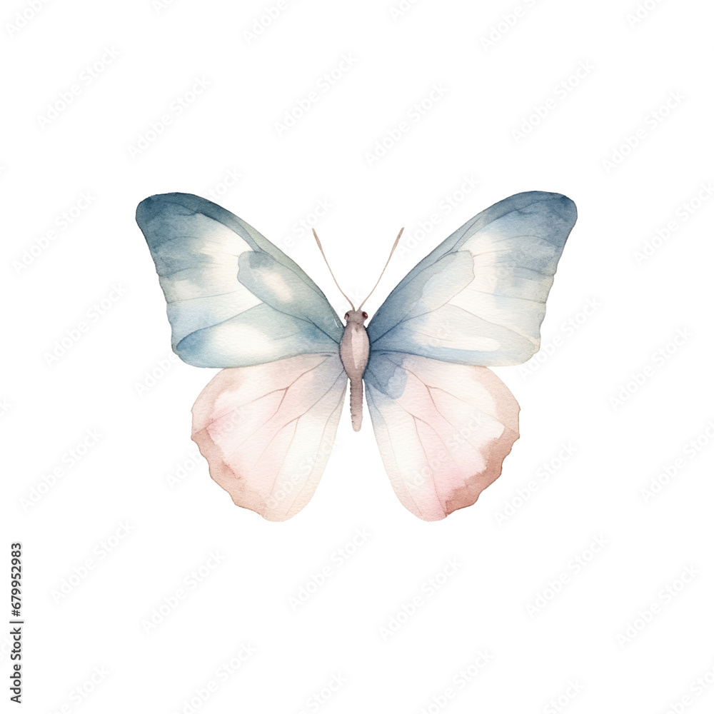 watercolor butterfly cliparts, isolated