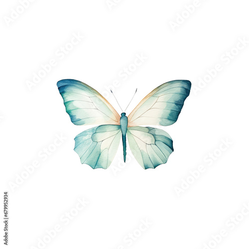 watercolor butterfly cliparts, isolated © Jo