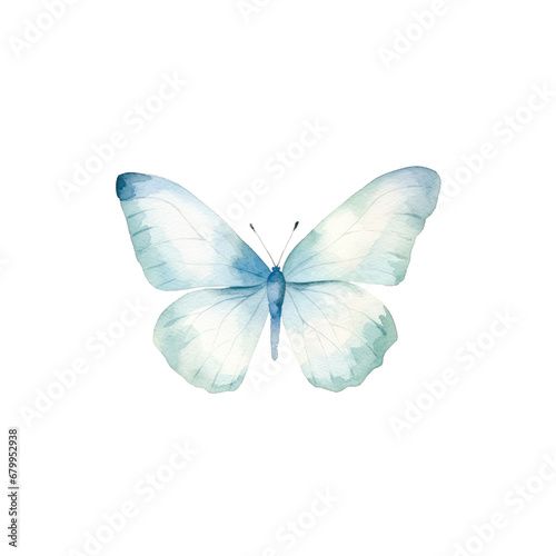 watercolor butterfly cliparts, isolated